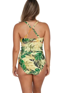 Plus Size|Underwire<Sunsets Amber Oasis Zuri V-Wire Tankini Top