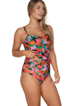 Plus Size|Underwire<Sunsets Hummingbird Cove Taylor Tankini Top