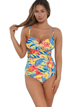 Plus Size|Underwire<Sunsets Suncatcher Serena Tankini Top